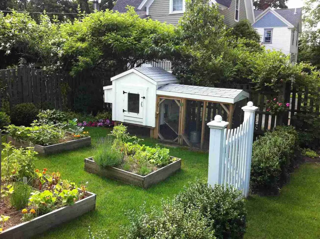 23+ Raised Chicken Coop Ideas for a Cleaner Backyard Setup 5