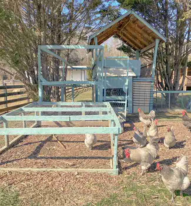 19+ Farmhouse Chicken Coop Plans for Rustic Backyard Charm 2