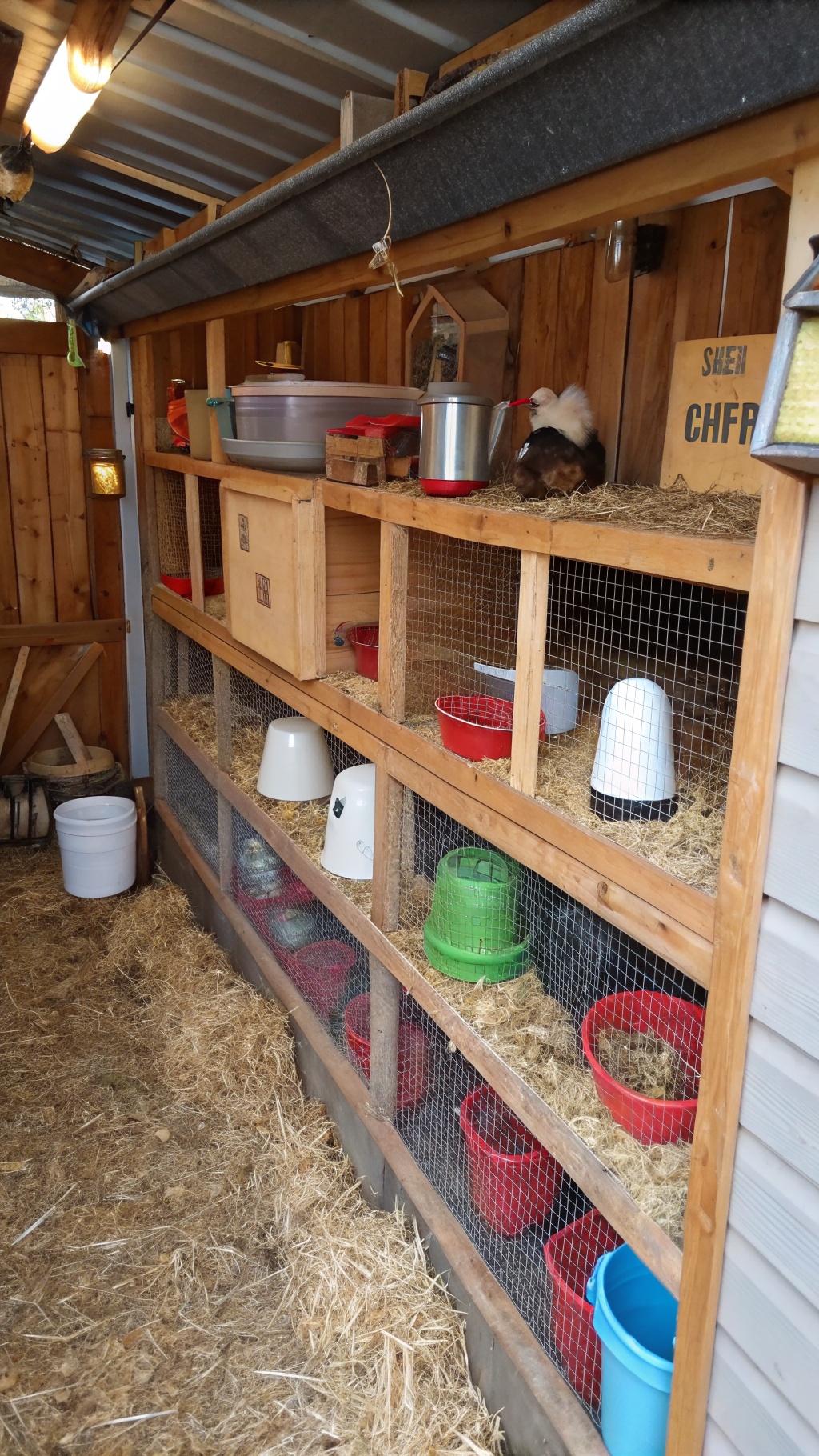 25+ Creative DIY Chicken Pen Ideas for Your Backyard 10 Organized chicken coop with shelves, containers, and mesh panels