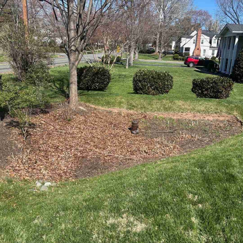 How to Create Drainage in Yard That Actually Works 9