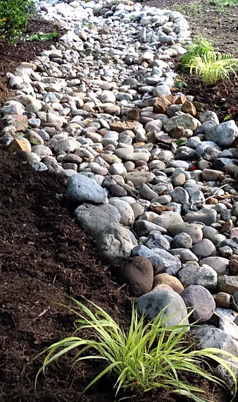 25 Yard Drainage Ideas That Help Stop Standing Water for Good 5