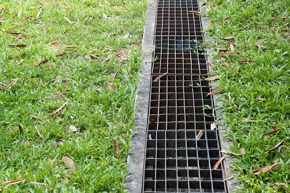 25 Yard Drainage Ideas That Help Stop Standing Water for Good 4