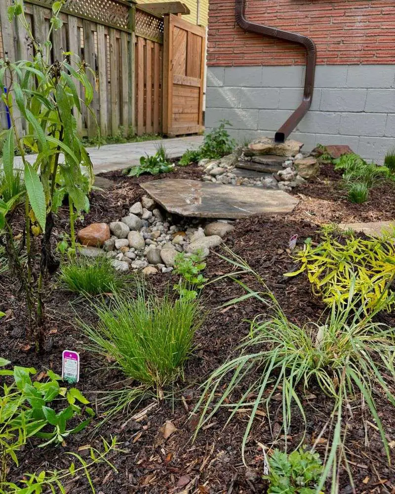 25 Yard Drainage Ideas That Help Stop Standing Water for Good 8