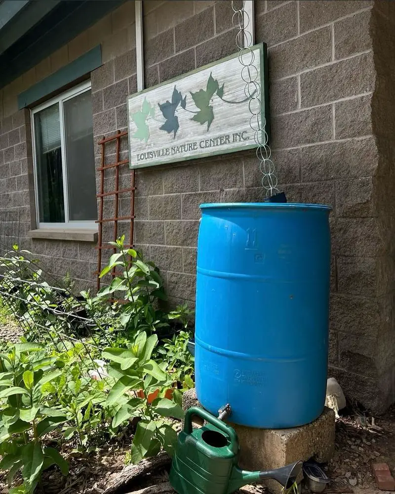 25 Yard Drainage Ideas That Help Stop Standing Water for Good 14