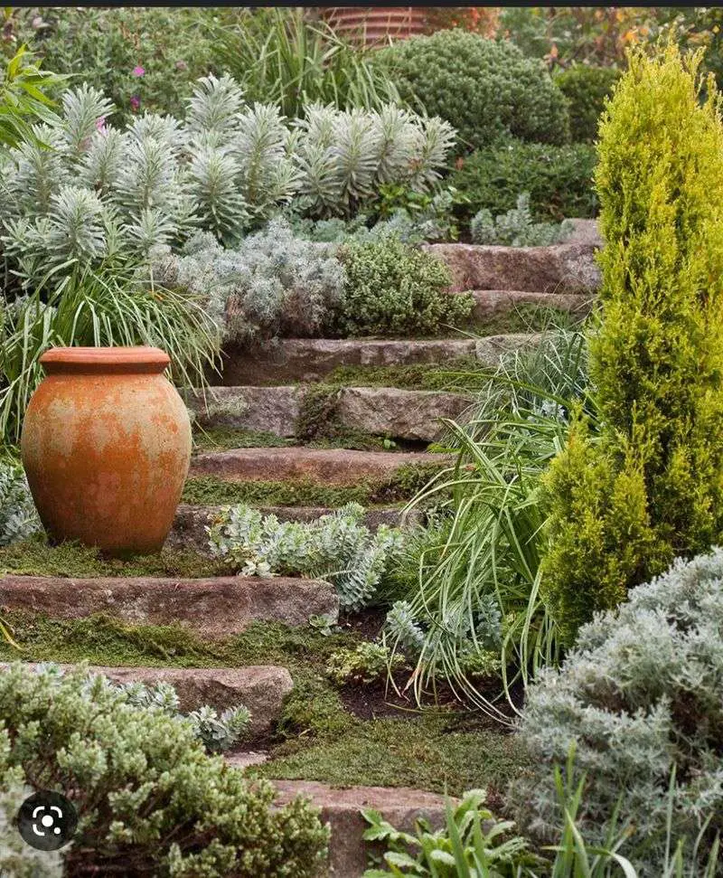 25 Yard Drainage Ideas That Help Stop Standing Water for Good 17