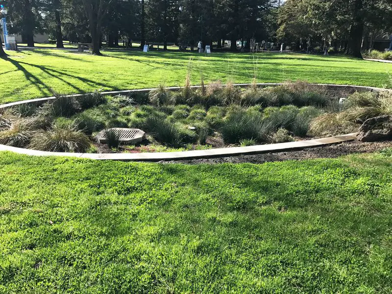 25 Yard Drainage Ideas That Help Stop Standing Water for Good 23