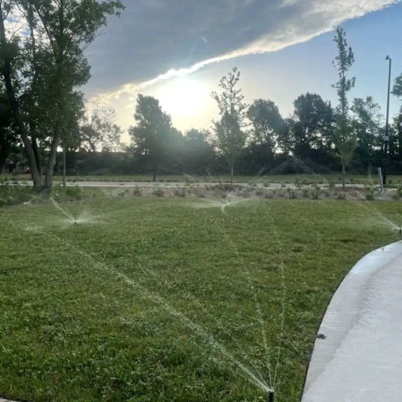 25 Yard Drainage Ideas That Help Stop Standing Water for Good 25