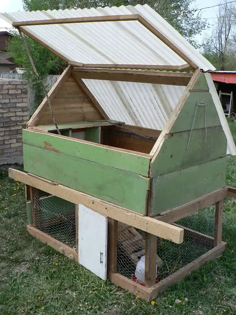 How to Build a Chicken Coop on Wheels: DIY Step by Step 4 How to Build a Chicken Coop on Wheels: DIY Step by Step 4