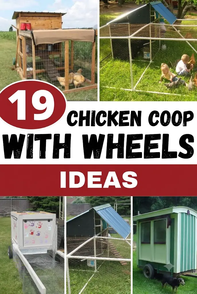 19 Chicken Coop With Wheels Ideas for Easy Portable Backyard Coops 2 19 Chicken Coop With Wheels Ideas for Easy Portable Backyard Coops 2