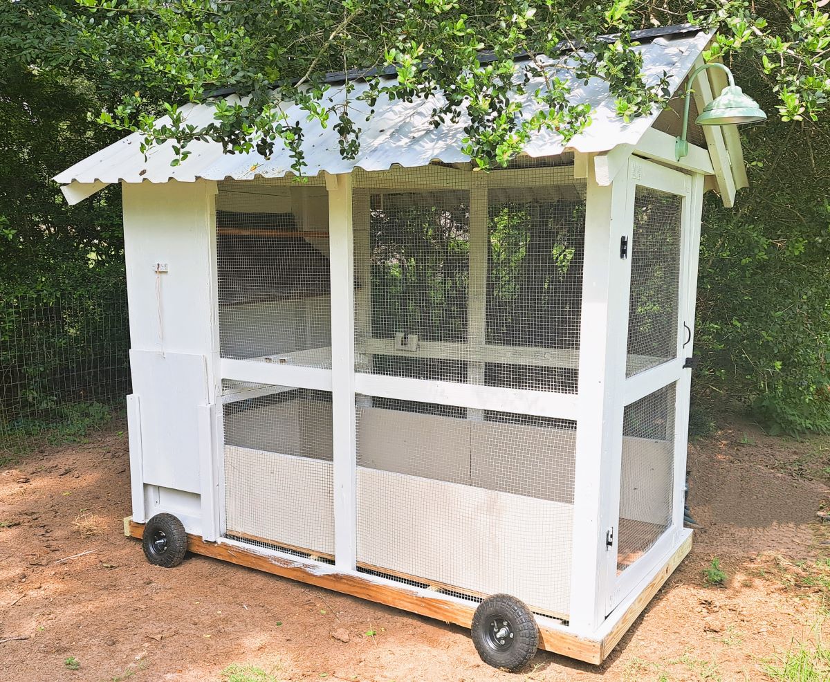 How to Build a Chicken Coop on Wheels: DIY Step by Step 1