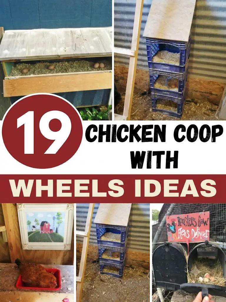29 Best Nesting Boxes for Chickens: Creative Ideas for Every Coop 2