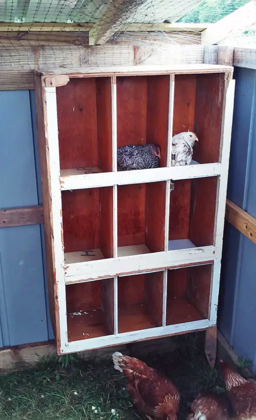 Multi compartment wooden chicken nesting unit
