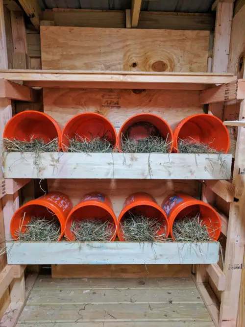 Orange bucket chicken nesting boxes arranged on shelves