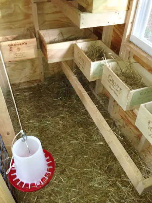 Wooden wine crates mounted as wall chicken nesting boxes
