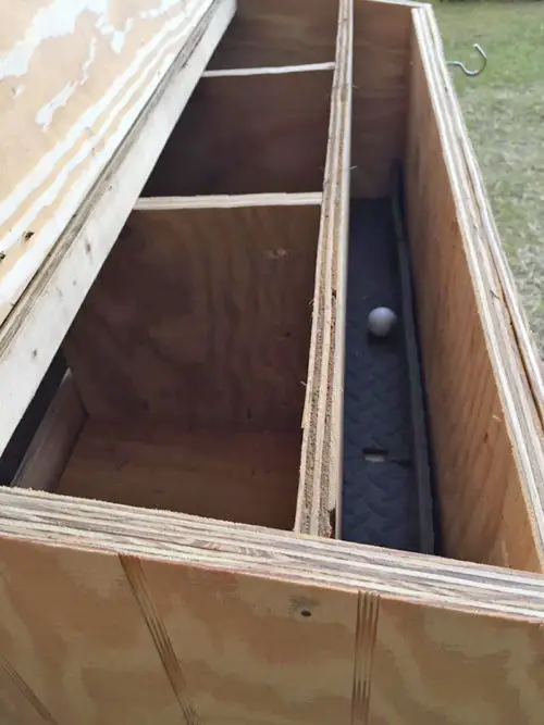 Open plywood rollaway chicken nesting box with divided compartments