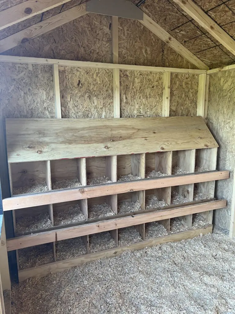 How to Build a Chicken Coop on Wheels: DIY Step by Step 5 How to Build a Chicken Coop on Wheels: DIY Step by Step 5