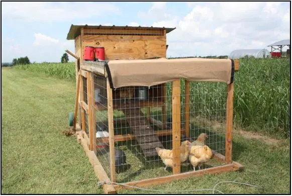 19 Chicken Coop With Wheels Ideas for Easy Portable Backyard Coops 3 19 Chicken Coop With Wheels Ideas for Easy Portable Backyard Coops 3