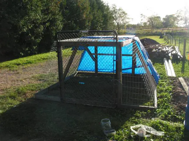 19 Chicken Coop With Wheels Ideas for Easy Portable Backyard Coops 7 19 Chicken Coop With Wheels Ideas for Easy Portable Backyard Coops 7