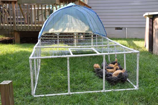 19 Chicken Coop With Wheels Ideas for Easy Portable Backyard Coops 11 19 Chicken Coop With Wheels Ideas for Easy Portable Backyard Coops 11