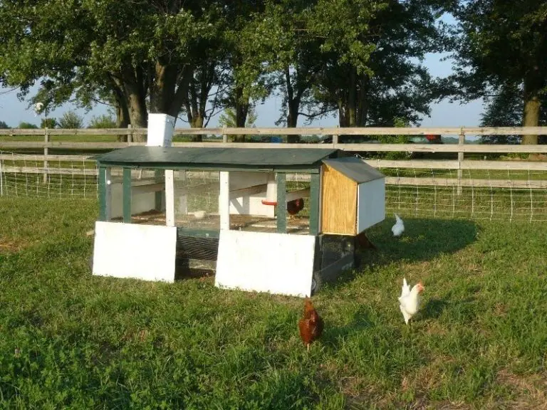 19 Chicken Coop With Wheels Ideas for Easy Portable Backyard Coops 18 19 Chicken Coop With Wheels Ideas for Easy Portable Backyard Coops 18
