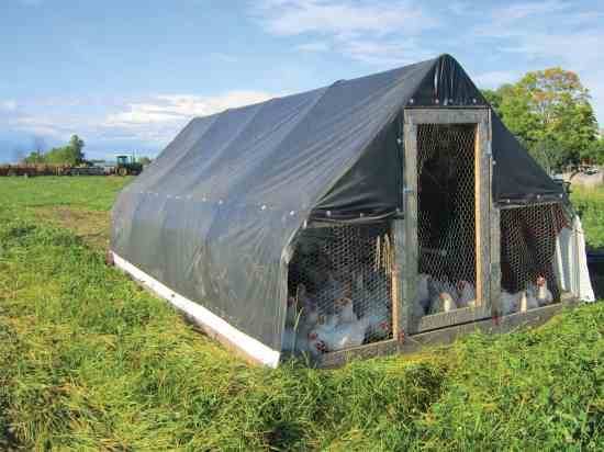 19 Chicken Coop With Wheels Ideas for Easy Portable Backyard Coops 19 19 Chicken Coop With Wheels Ideas for Easy Portable Backyard Coops 19
