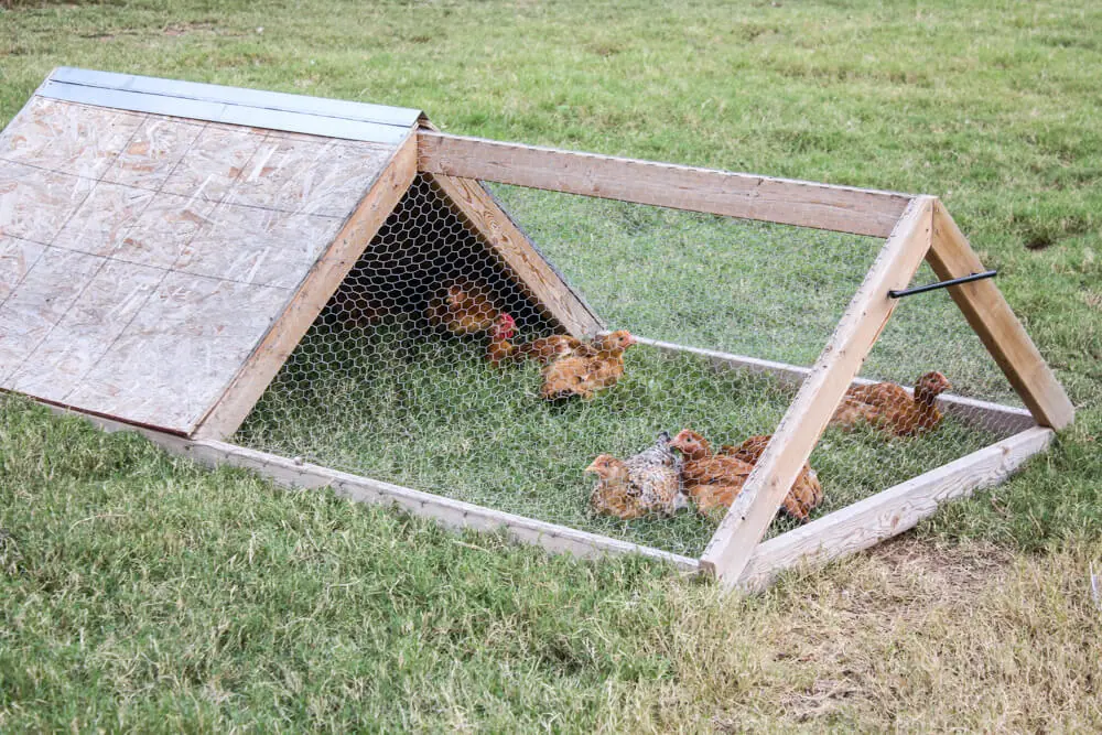 19 Chicken Coop With Wheels Ideas for Easy Portable Backyard Coops 21 19 Chicken Coop With Wheels Ideas for Easy Portable Backyard Coops 21
