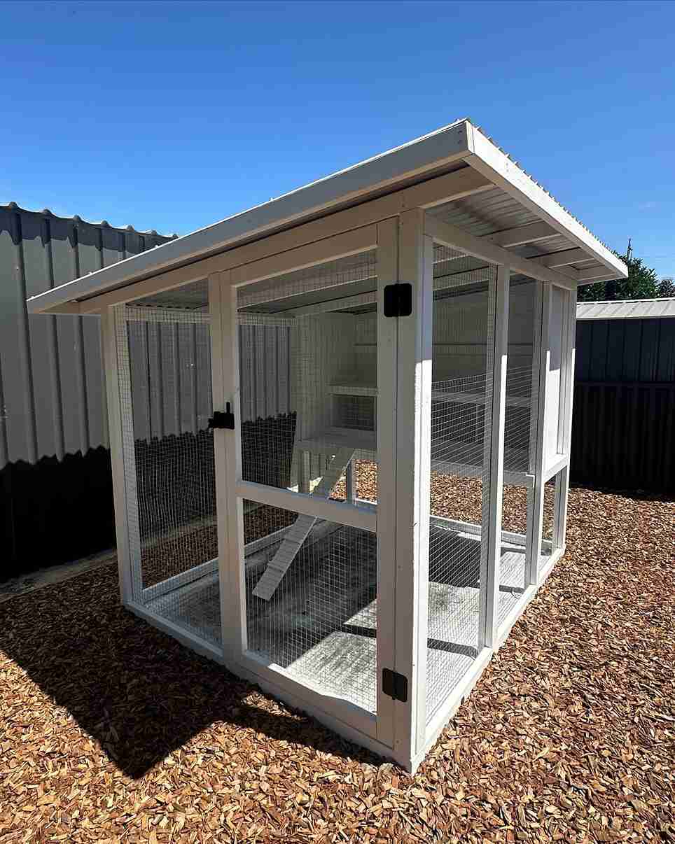 How to Build a Chicken Coop Step by Step 1