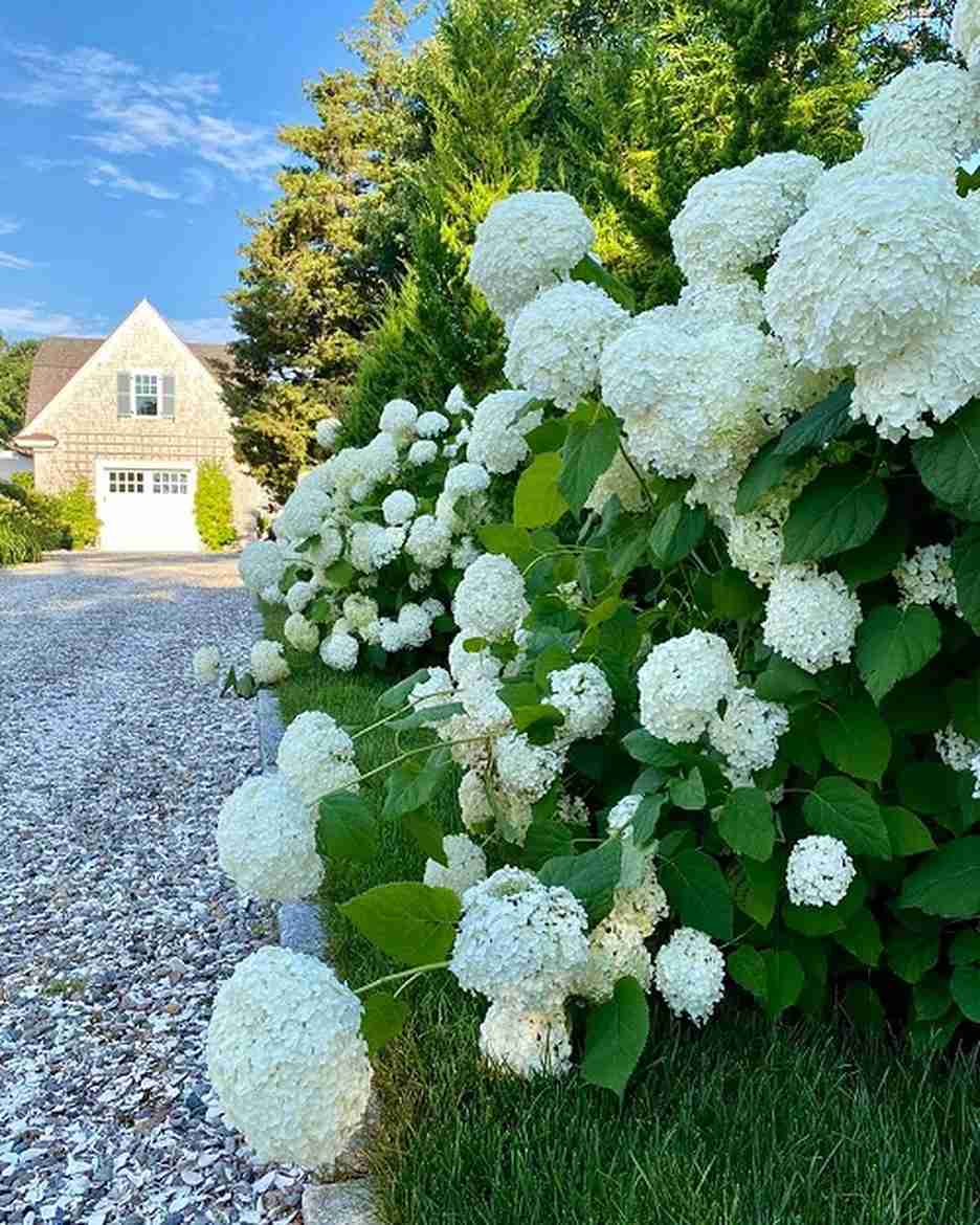 Gravel Driveway Lining