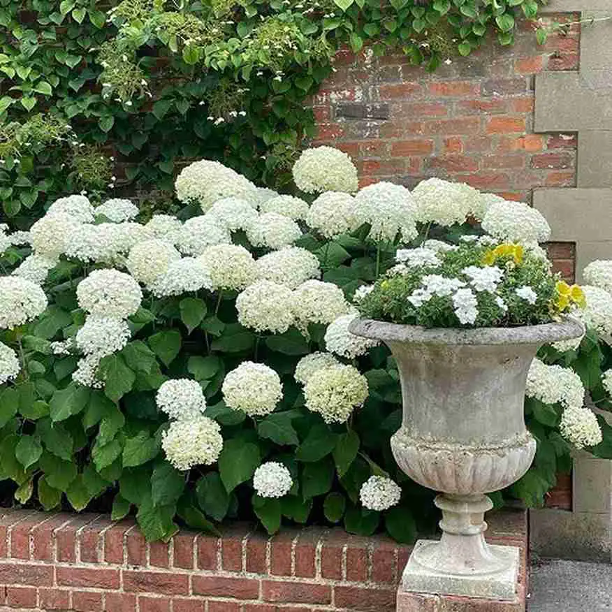 Stone Urn Garden Feature