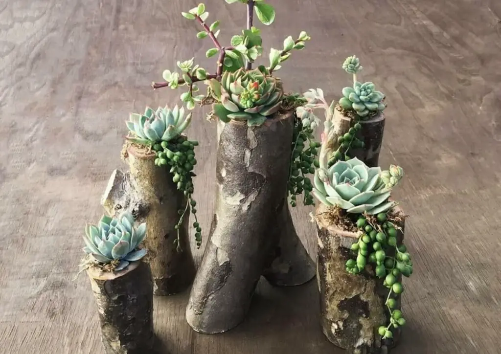 25 DIY Garden Art Sculptures to Add Personality to Your Yard 19 Natural Log Succulent Planters