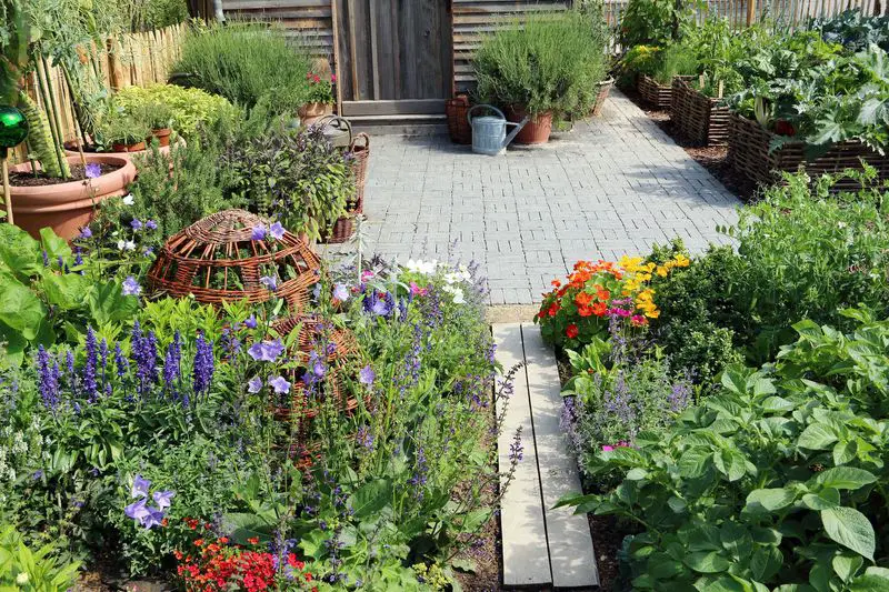 Raised Woven Garden Beds and Potted Herbs