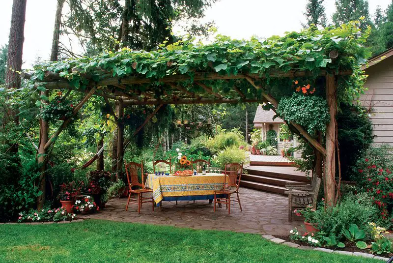 Grapevine Covered Patio Pergola