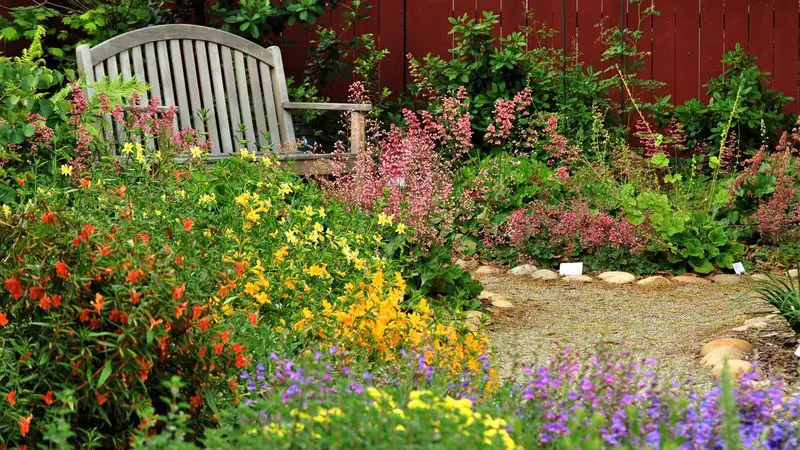 Colorful Flower Path and Garden Bench