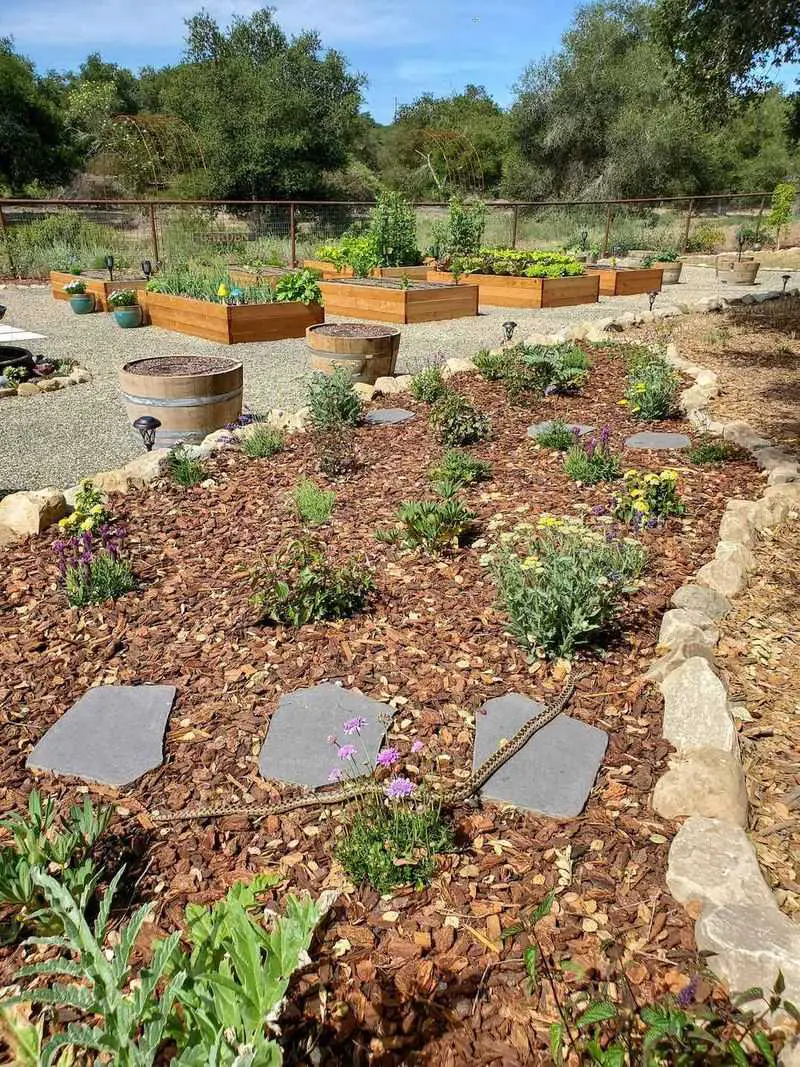 Wood Chip Mulched Beds with Stepping Stones