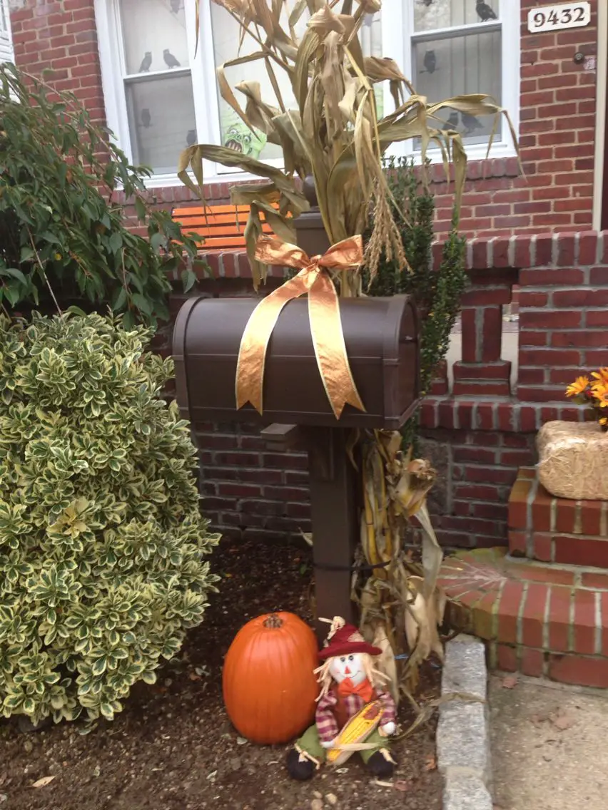 Golden Bow and Corn Stalk Frame