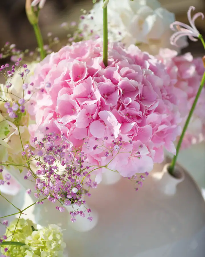 Pastel Pink Sphere with Delicate Sprigs