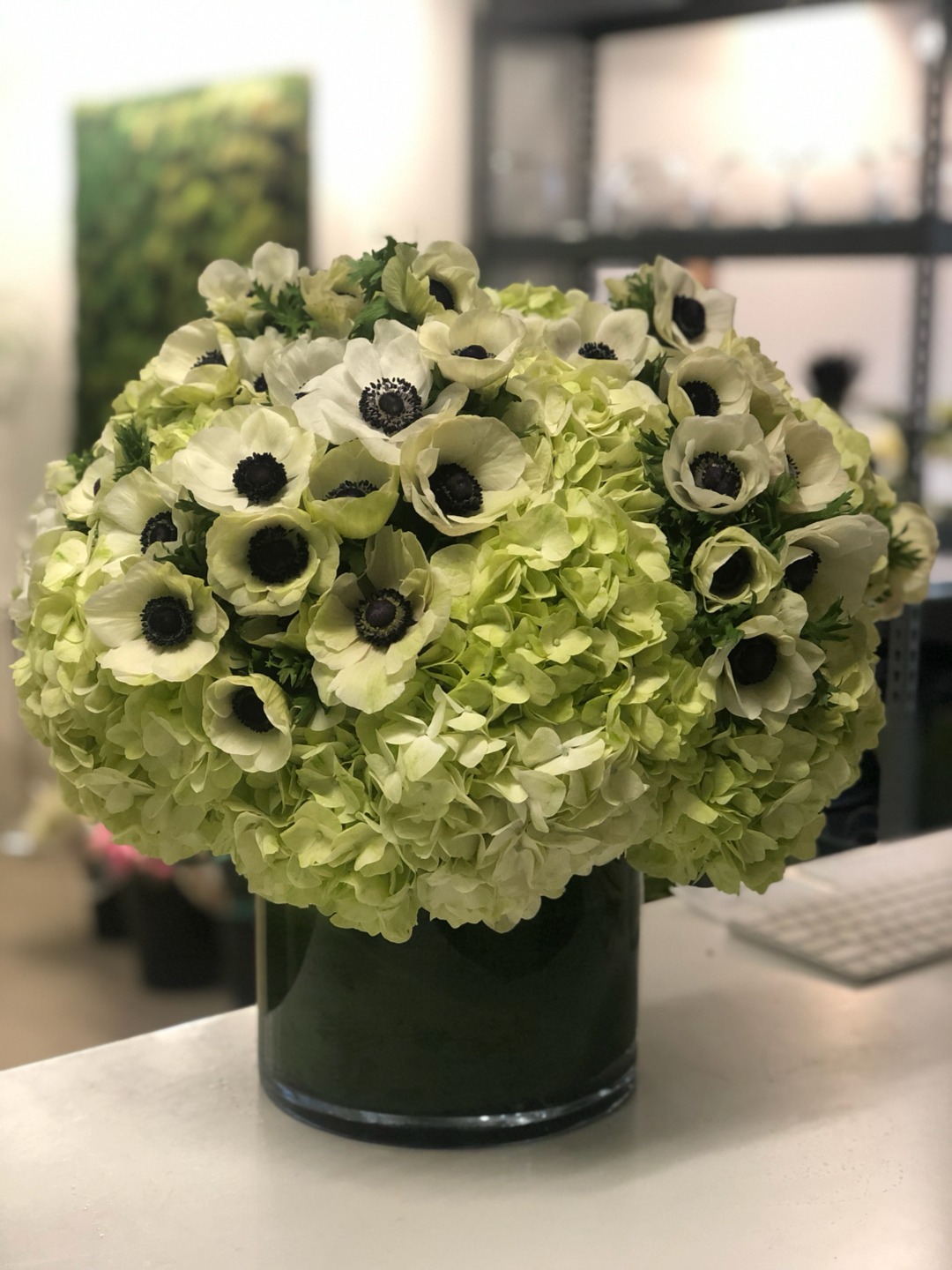 Pale Green Hydrangea Dome with White Anemones
