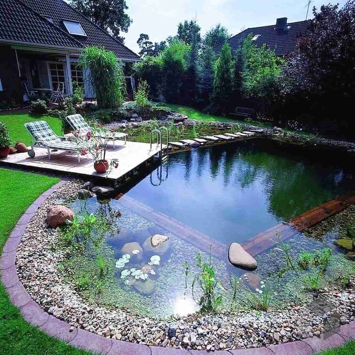 Integrated Backyard Swimming Pond