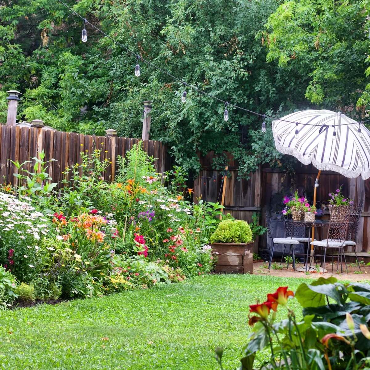 Backyard Lawn Border Garden