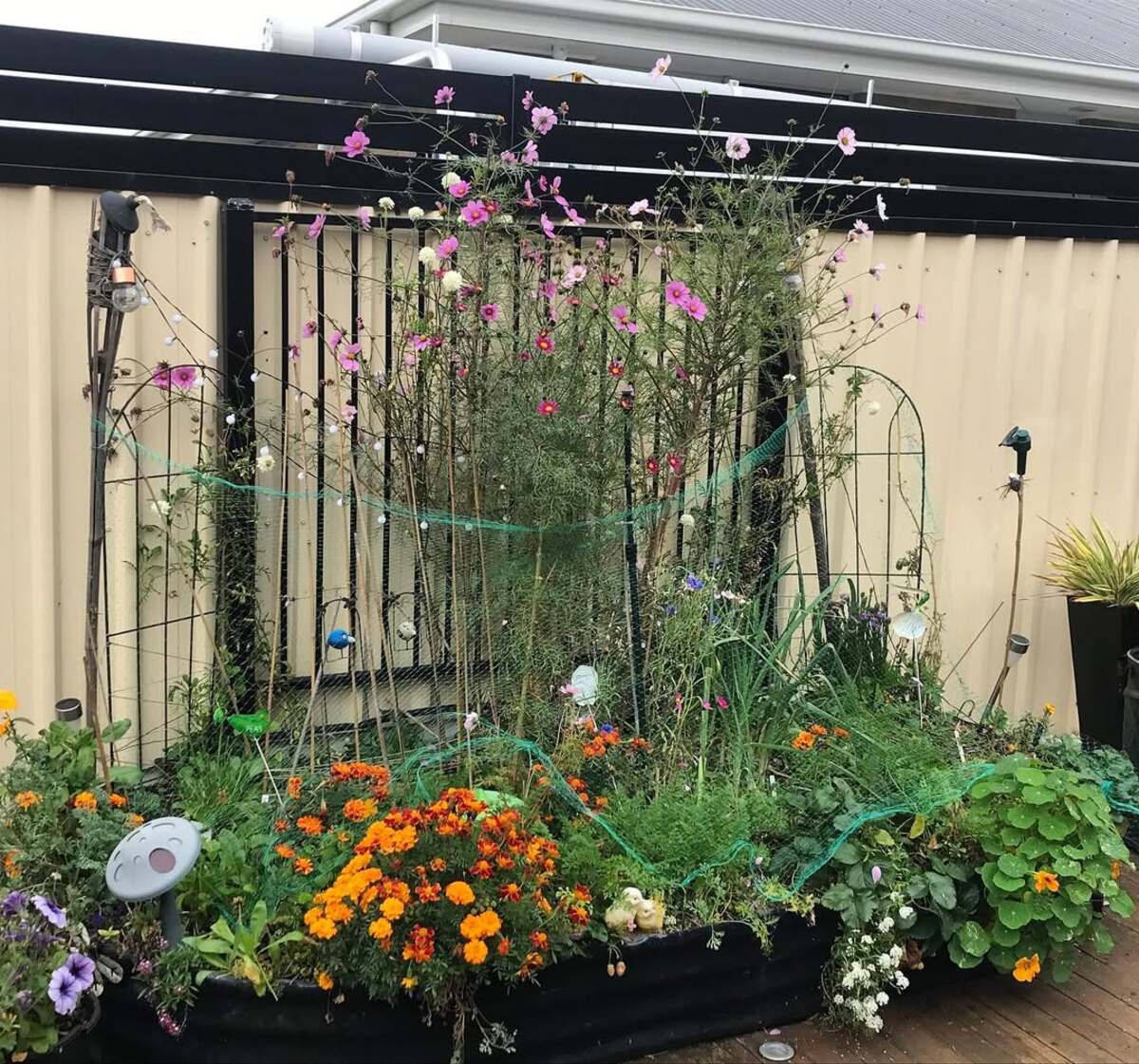 Raised Metal Deck Bed