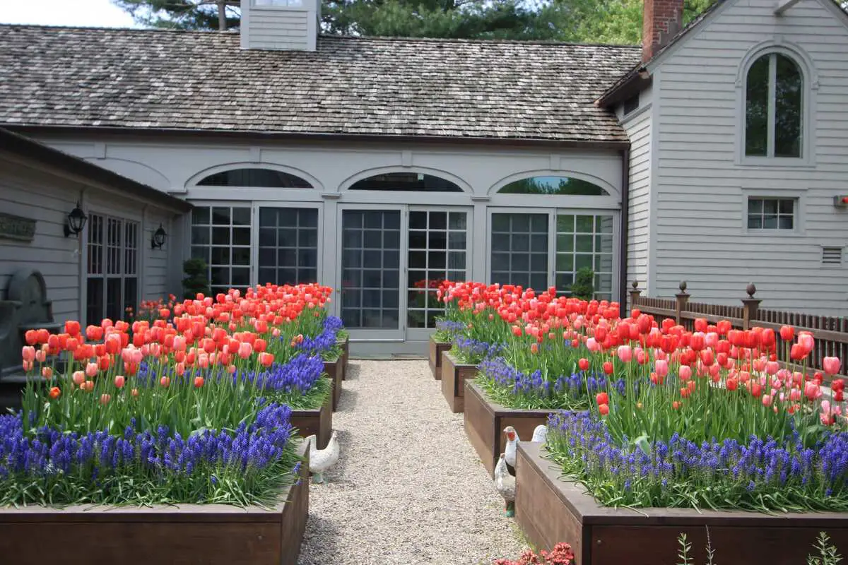 Symmetrical Tulip Courtyard Beds