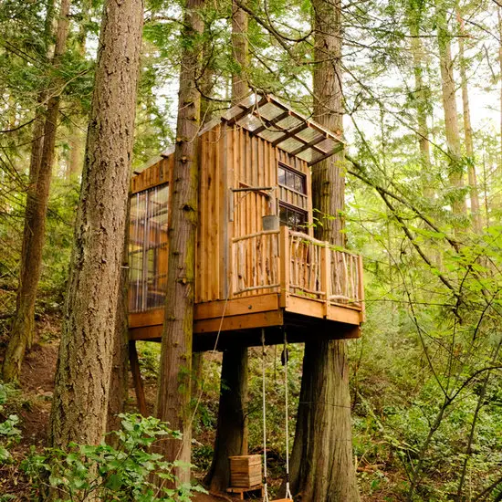 31 Tiny Shed House Ideas for Small and Creative Living Spaces 32 Elevated Treehouse Cabin Shed
