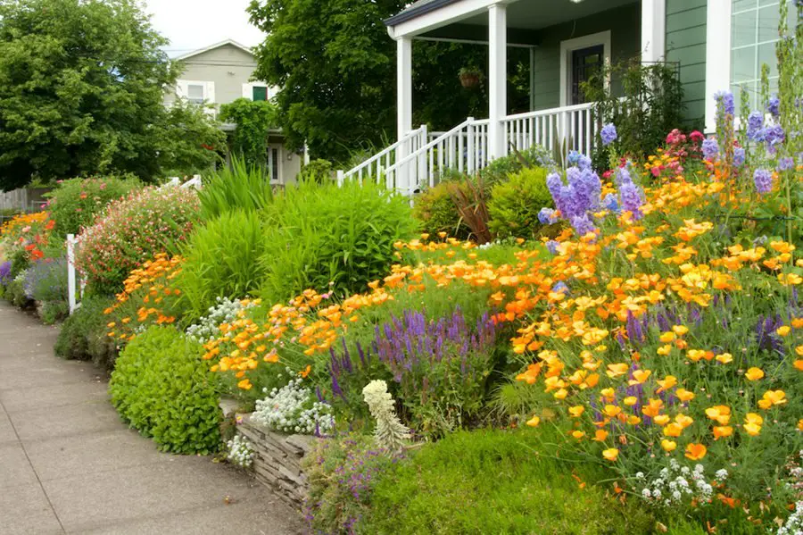 Terraced Wildflower Cottage Garden Slope