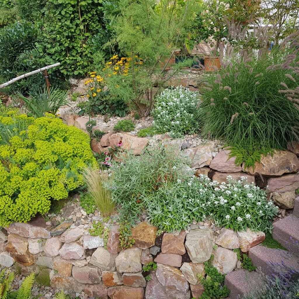 Rock Wall Garden with Ornamental Grasses
