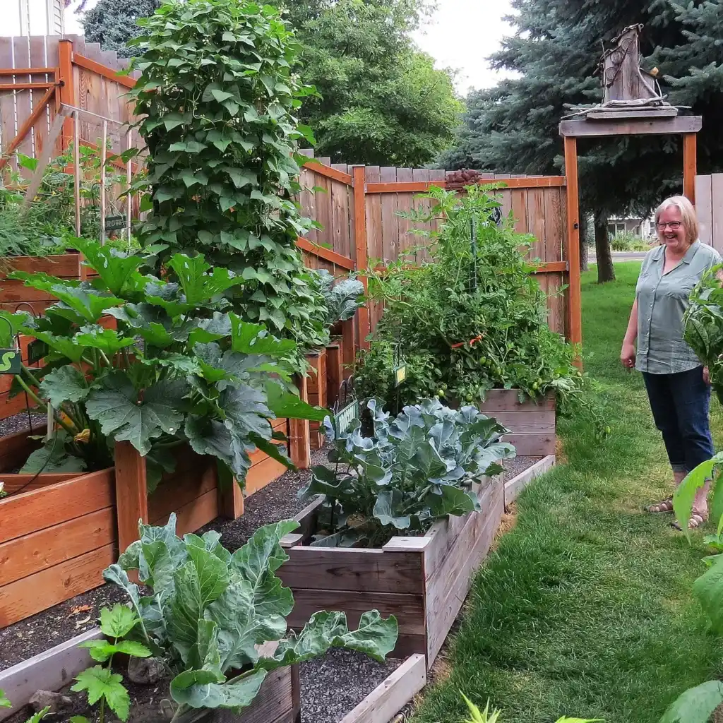 Tiered Wooden Raised Beds for Vegetable Gardening