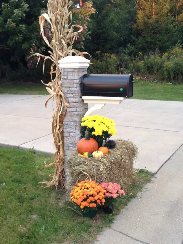 23 Fall Mailbox Decorating Ideas to Give Your Curb a Seasonal Touch 2