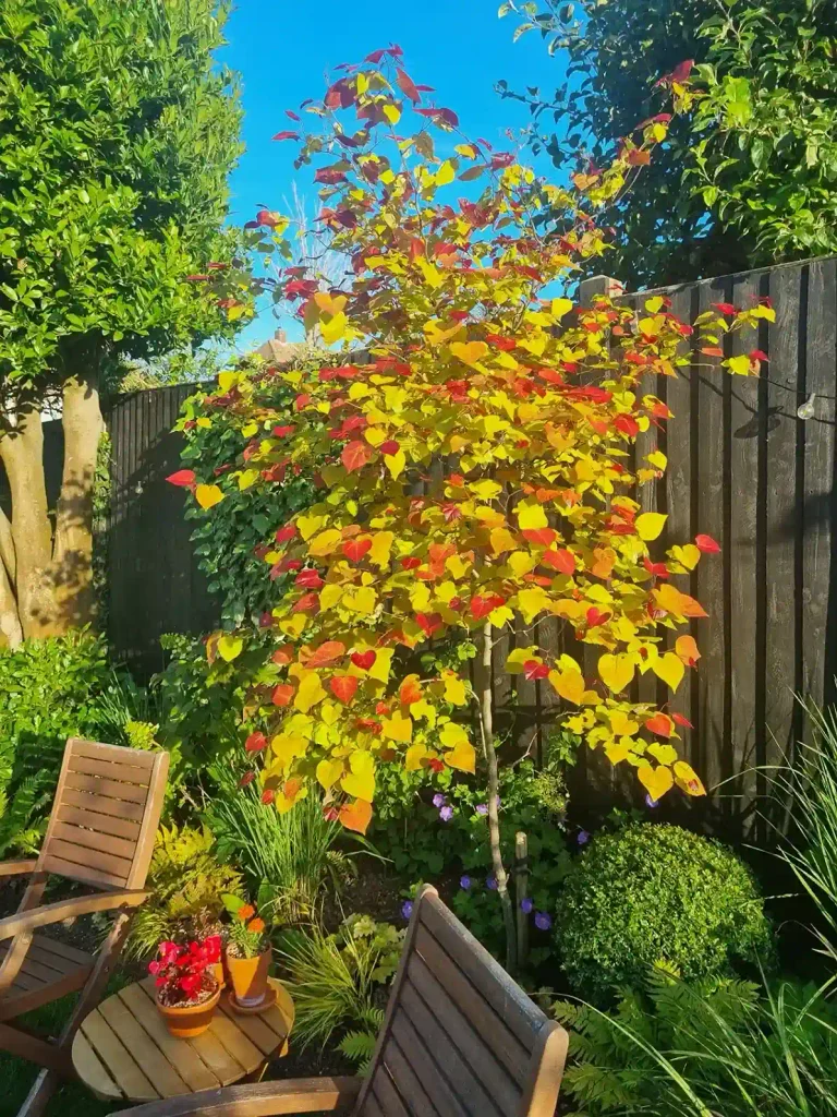 25 Fall Gardening Ideas for a Healthier, Better Prepared Garden 12