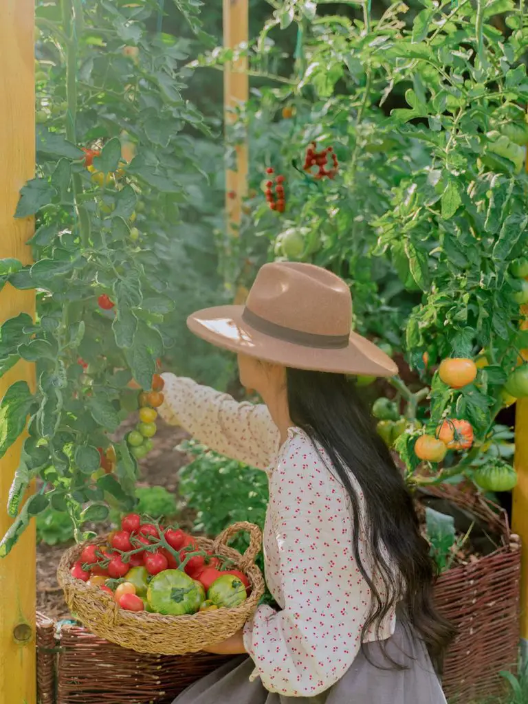 25 Fall Gardening Ideas for a Healthier, Better Prepared Garden 9