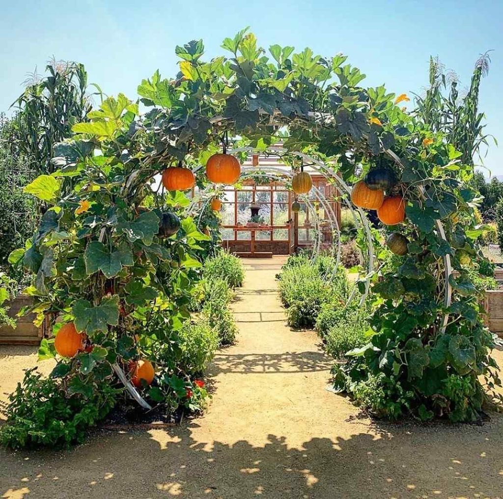 25 Fall Gardening Ideas for a Healthier, Better Prepared Garden 11