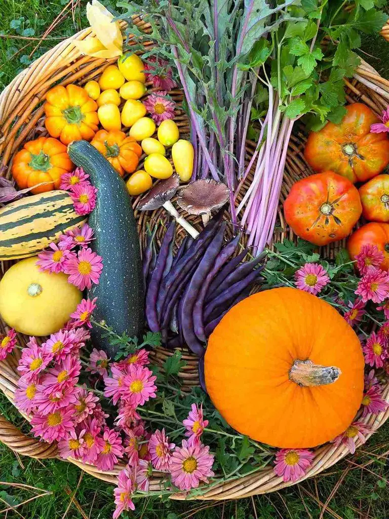 25 Fall Gardening Ideas for a Healthier, Better Prepared Garden 3
